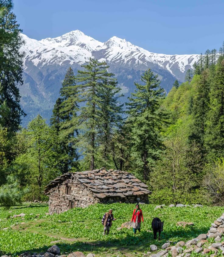 a quaint village in palampur 