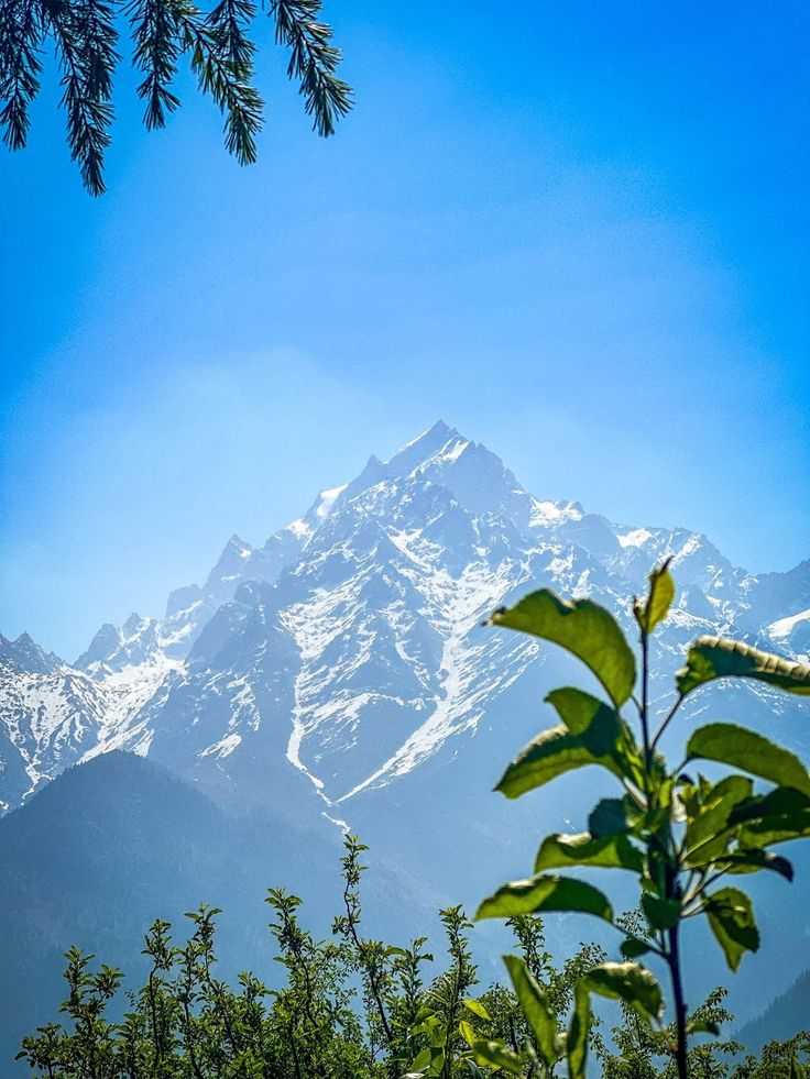 kangra vally